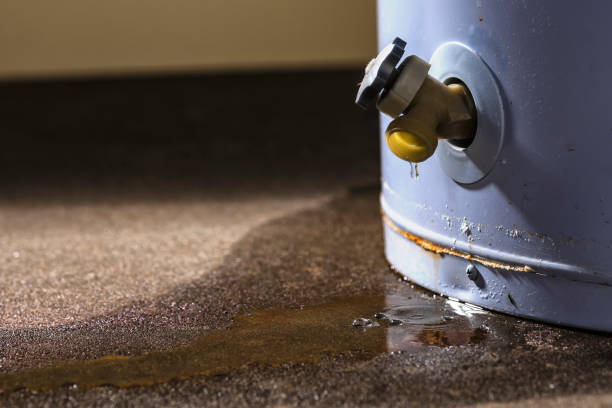 Best Flood restoration services  in Lake Geneva, WI