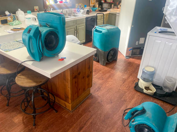 Best Flood damage cleanup  in Lake Geneva, WI