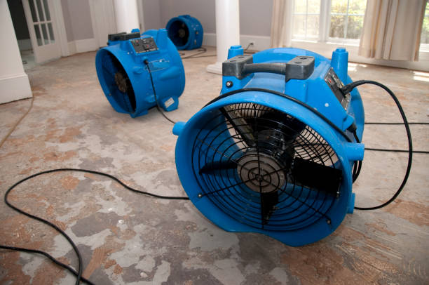 Best Mold removal after water damage  in Lake Geneva, WI