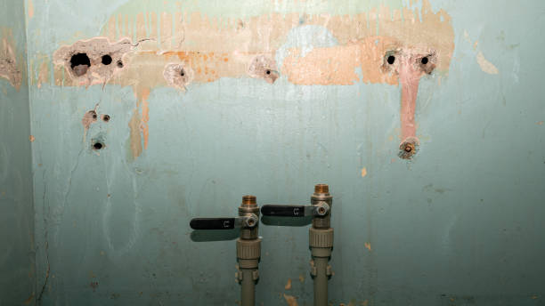 Best Professional water damage repair  in Lake Geneva, WI