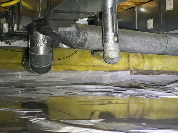Best Sewage cleanup and water damage restoration  in Lake Geneva, WI