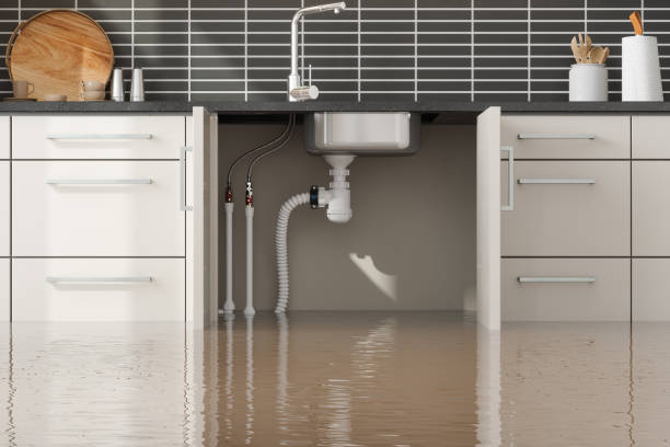 Best Water damage restoration near me  in Lake Geneva, WI