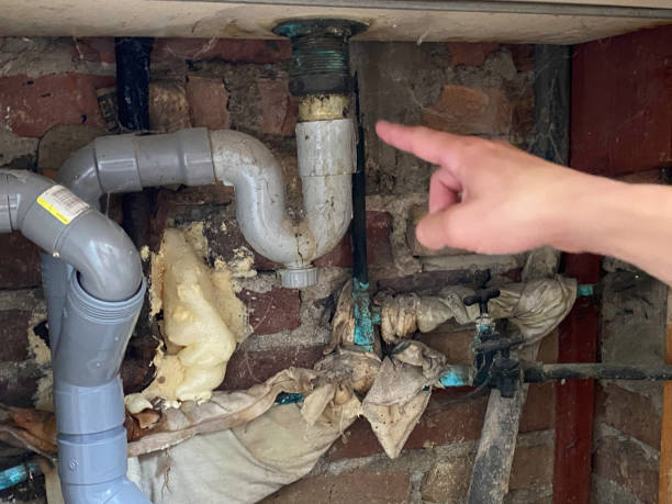 Best Carpet water damage restoration  in Lake Geneva, WI