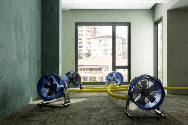 Best 24/7 water damage repair  in Lake Geneva, WI